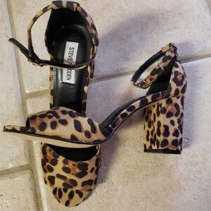 Steve Madden Mirna in Leopard print